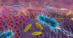Analyse du microbiote annecy